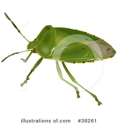 Royalty-Free (RF) Insect Clipart Illustration by dero - Stock Sample #38261