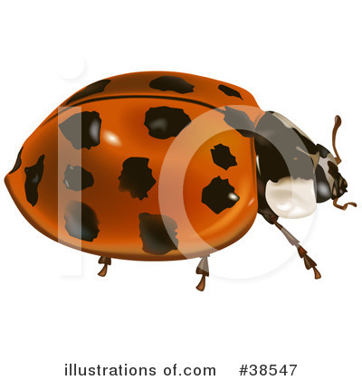 Royalty-Free (RF) Insect Clipart Illustration by dero - Stock Sample #38547
