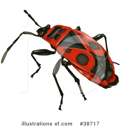 Royalty-Free (RF) Insect Clipart Illustration by dero - Stock Sample #38717