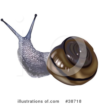 Snail Clipart #38718 by dero