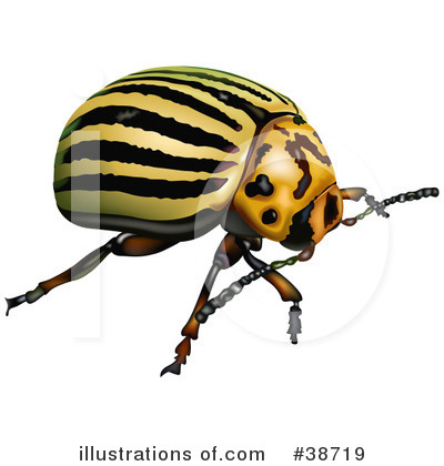 Royalty-Free (RF) Insect Clipart Illustration by dero - Stock Sample #38719