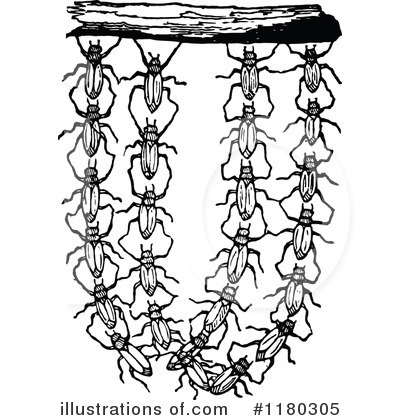Royalty-Free (RF) Insects Clipart Illustration by Prawny Vintage - Stock Sample #1180305
