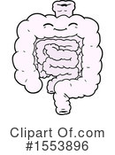 Intestines Clipart #1553896 by lineartestpilot