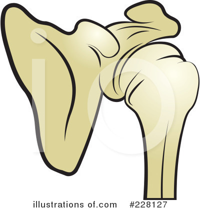 Royalty-Free (RF) Joint Clipart Illustration by Lal Perera - Stock Sample #228127
