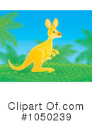 Kangaroo Clipart #1050239 by Alex Bannykh