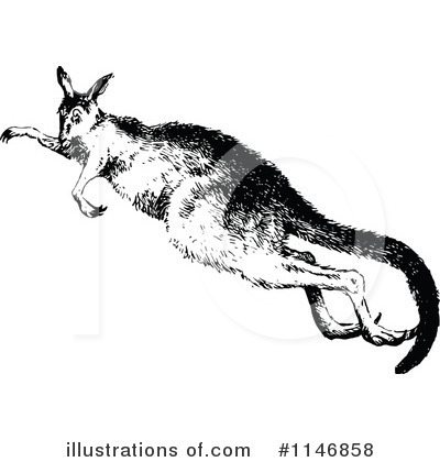 Royalty-Free (RF) Kangaroo Clipart Illustration by Prawny Vintage - Stock Sample #1146858