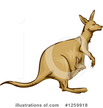 Royalty-Free (RF) Kangaroo Clipart Illustration by BNP Design Studio - Stock Sample #1259918