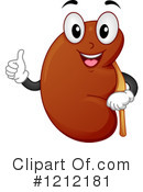 Kidney Clipart #1212181 by BNP Design Studio