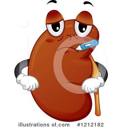 Kidney Clipart #1212181 - Illustration by BNP Design Studio