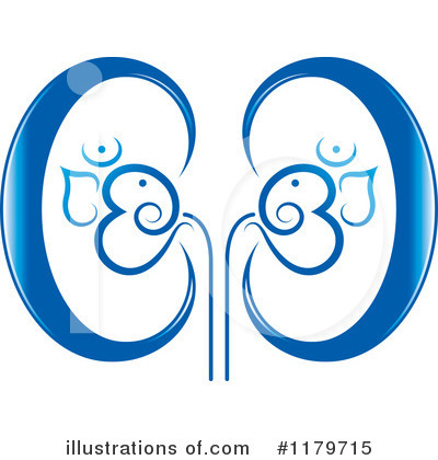 Kidneys Clipart #1179715 by Lal Perera