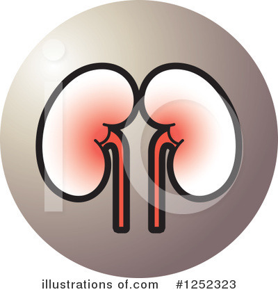 Kidney Clipart #1155941 - Illustration by Lal Perera