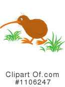 Kiwi Bird Clipart #1106247 by Alex Bannykh