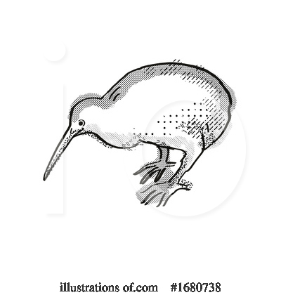 Kiwi Bird Clipart #1680738 by patrimonio