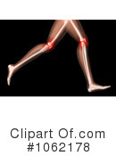 Knees Clipart #1062178 by KJ Pargeter