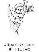 Koala Clipart #1110148 by Dennis Holmes Designs