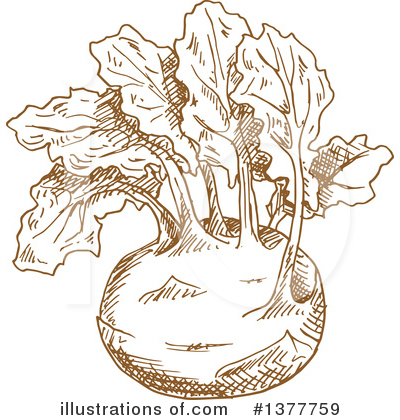 Royalty-Free (RF) Kohlrabi Clipart Illustration by Vector Tradition SM - Stock Sample #1377759