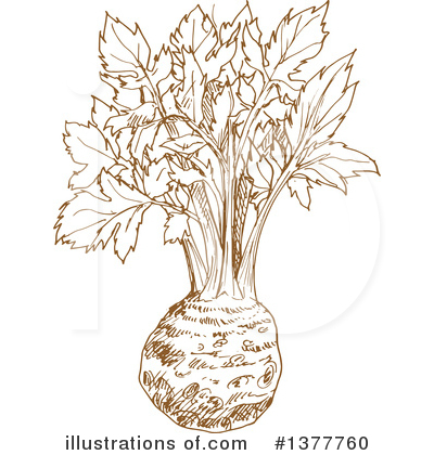 Kohlrabi Clipart #1377760 by Vector Tradition SM