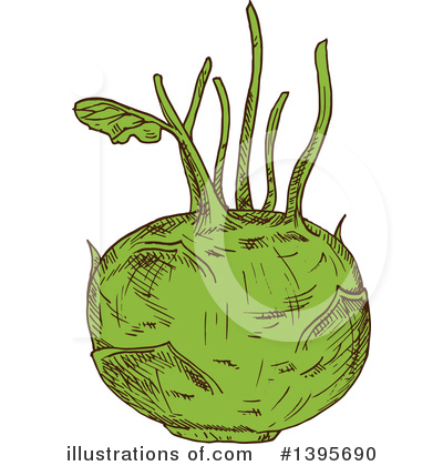 Kohlrabi Clipart #1395690 by Vector Tradition SM