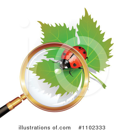 Royalty-Free (RF) Ladybug Clipart Illustration by merlinul - Stock Sample #1102333