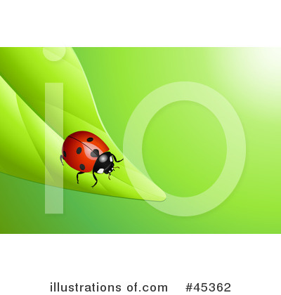 Ladybugs Clipart #45362 by Oligo
