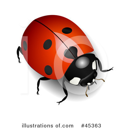Royalty-Free (RF) Ladybug Clipart Illustration by Oligo - Stock Sample #45363