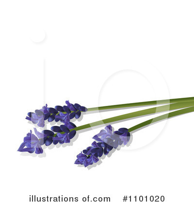 Lavender Clipart #1101020 by elaineitalia