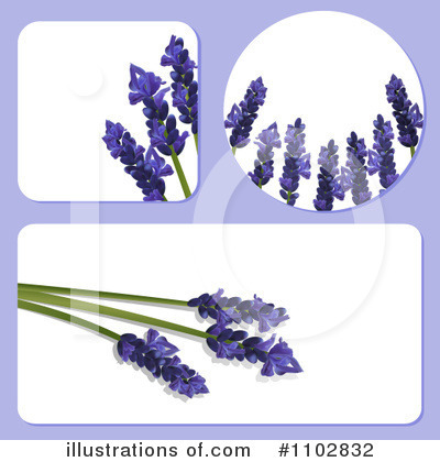 Royalty-Free (RF) Lavender Clipart Illustration by elaineitalia - Stock Sample #1102832