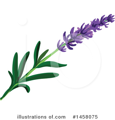 Royalty-Free (RF) Lavender Clipart Illustration by Vector Tradition SM - Stock Sample #1458075