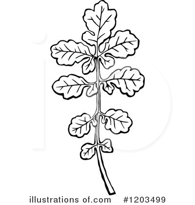 Royalty-Free (RF) Leaf Clipart Illustration by Prawny Vintage - Stock Sample #1203499