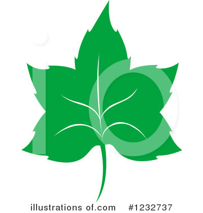 Royalty-Free (RF) Leaf Clipart Illustration by Vector Tradition SM - Stock Sample #1232737