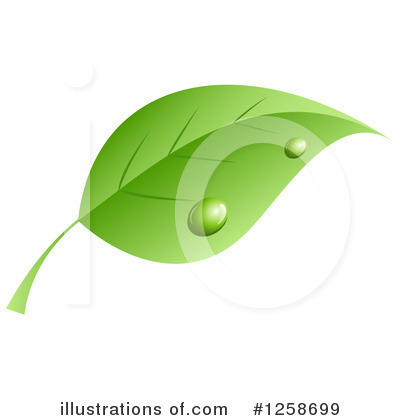 Green Leaf Clipart #1258699 by KJ Pargeter