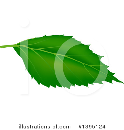 Royalty-Free (RF) Leaf Clipart Illustration by dero - Stock Sample #1395124