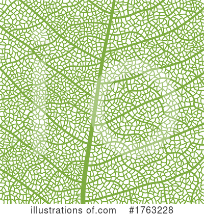 Skeleton Leaves Clipart #1763228 by Vector Tradition SM