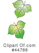 Leaf Clipart #44788 by Lal Perera