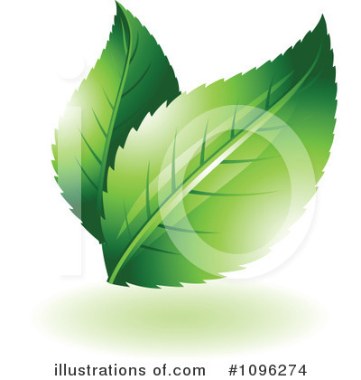 Leaves Clipart #1096274 by TA Images