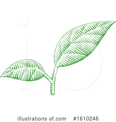 Royalty-Free (RF) Leaves Clipart Illustration by cidepix - Stock Sample #1610246