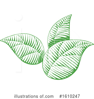 Royalty-Free (RF) Leaves Clipart Illustration by cidepix - Stock Sample #1610247