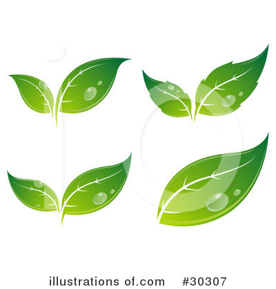 Royalty-Free (RF) Leaves Clipart Illustration by beboy - Stock Sample #30307