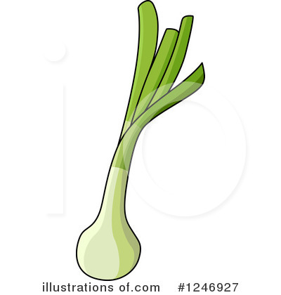 Green Onions Clipart #1246927 by Vector Tradition SM