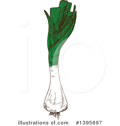 Leek Clipart #1395697 by Vector Tradition SM