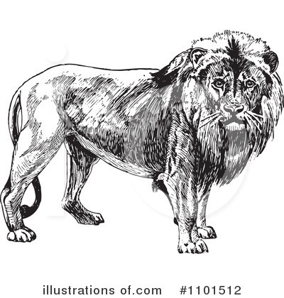 Royalty-Free (RF) Lion Clipart Illustration by BestVector - Stock Sample #1101512