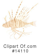 Lionfish Clipart #14110 by Rasmussen Images