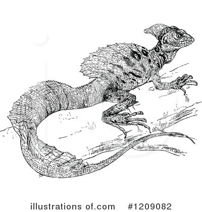 Royalty-Free (RF) Lizard Clipart Illustration by Prawny Vintage - Stock Sample #1209082