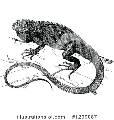 Royalty-Free (RF) Lizard Clipart Illustration by Prawny Vintage - Stock Sample #1209087