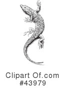 Lizard Clipart #43979 by Paulo Resende