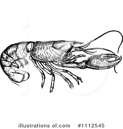 Crayfish Clipart #1112545 by Prawny Vintage