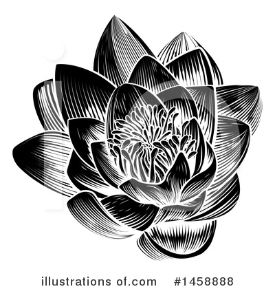 Water Lily Clipart #1458888 by AtStockIllustration