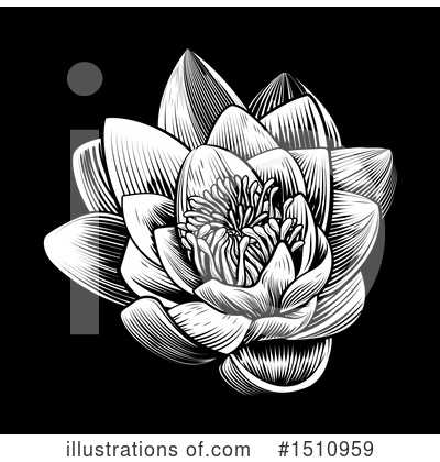 Water Lily Clipart #1510959 by AtStockIllustration