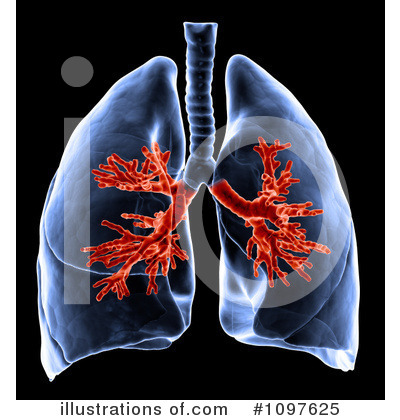 Royalty-Free (RF) Lungs Clipart Illustration by Mopic - Stock Sample #1097625