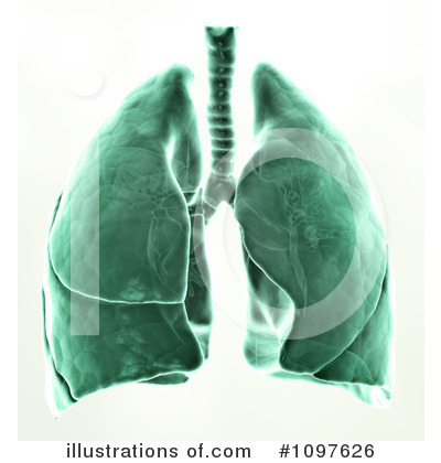 Royalty-Free (RF) Lungs Clipart Illustration by Mopic - Stock Sample #1097626